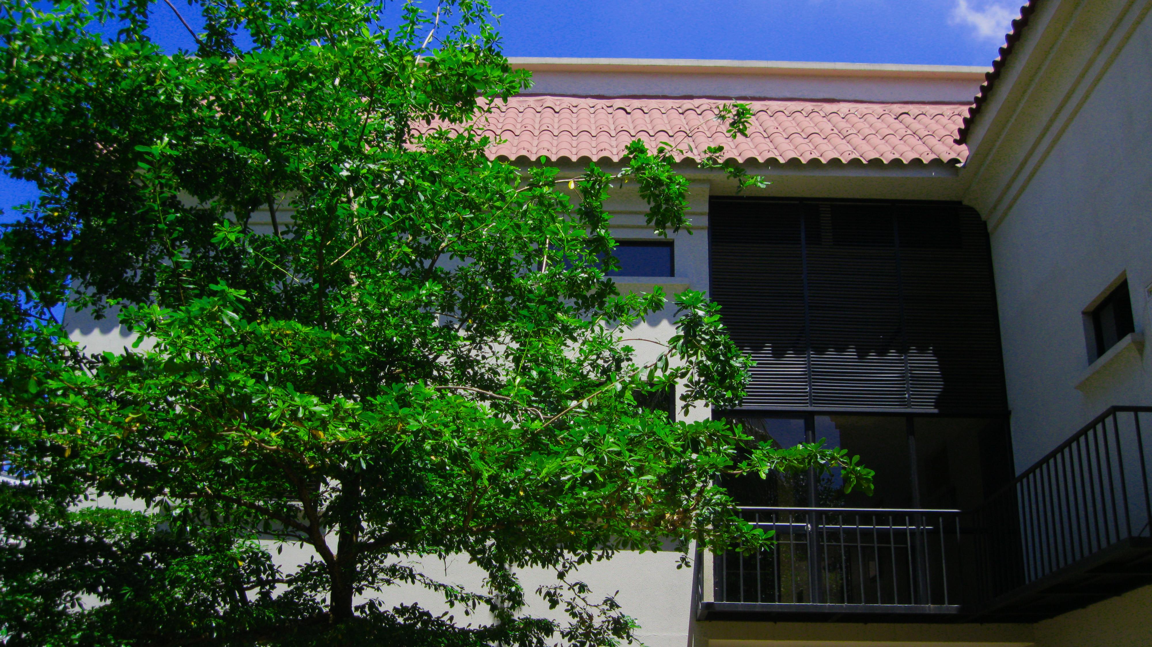 Apartterrazas Guayaquil -Suites&Lofts- Eksteriør bilde